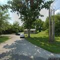 Deer blocking roadway on Lambert Road