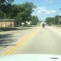 Dead deer blocking lane on US-36 near Old 84