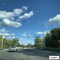Large tree blocks lanes on Spring Mill Road