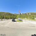 Baby moose briefly blocks traffic near campground