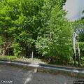 Trees partially blocking roadway near stone quarry