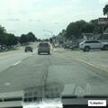 Person experienced fainting episode in Springfield