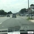 Snacks stolen from Wawa on Baltimore Pike