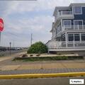Male stung by puffer fish in Seaside Park