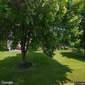 Person in mental distress at Mercy House in Chambersburg