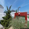Person suffers allergic reaction near Lavallette