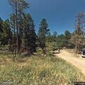 Cattle loose on property near Nederland