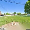 Large tree limb blocking Troy Road traffic