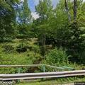 Power line down across walking trail near Hatt Road