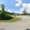 Large tree branch blocking roadway at intersection