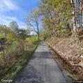 Large tree hanging low over road in Hidden Valley