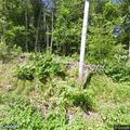 Large rock blocking lane on Richardson Corner Road