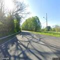 Injured dog reported along roadway