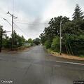 Dog running in roadway at Fairview and Oakdale