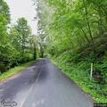 Tree blocking road on Berry Road in North Manheim