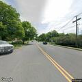 Loose dog running in roadway near farm stand