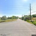 Loose calf creating traffic hazard on roadway