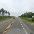 Dog running on Highway 169 near Taconite