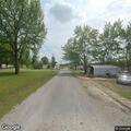 Loose dogs reported on Smith Street in Walnut Hill