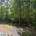 Tree blocking road at game preserve parking lot