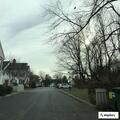 Tree blocking northbound lane on New Street