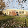 Person with head injury at Villanova University