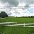 Person having allergic reaction at Smucker Farms