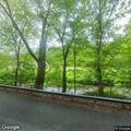 Tree on wire blocking road near Pike Run Drive