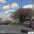 Woman acting strangely and smashing car window