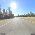 Animal on northbound Highway 101 near Garberville