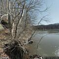 Man feels like passing out at Salt Fork State Park