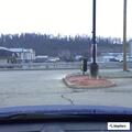 Man regains consciousness then falls again at truck stop