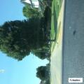 Unwanted person causing disturbance at Pizza King
