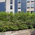 Person fainted at SpringHill Suites in Langhorne, PA