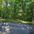Tree blocking roadway on Cooks Road in Todd Township