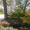 Tree blocking roadway on Trouttown Road