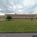 Dead deer reported in front of high school