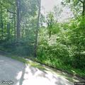 Tree down on wires on Clark Hollow Road