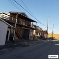 Dog barking complaint behind Charles Street home