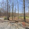 Tree blocking road on Ross Mountain Park Road