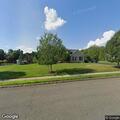 Loose dog repeatedly seen on Scott Drive