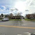 Injured deer blocking road on West Penn Avenue