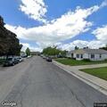 Cat struck by vehicle on Robinson Avenue