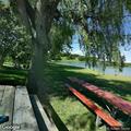 ALS medical call at Blue Marsh Bay beach in Bern Township
