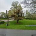 Tree leaning on utility pole near bridge