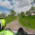 Man reported weak and confused near Annapolis Road