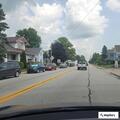 Loose pug wandering on Main Street in Rossville