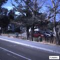 Two-car crash blocking Alpine Highway