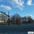 Driver cited for ignoring traffic signal