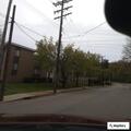Welfare check for confused elderly woman with walker and dog